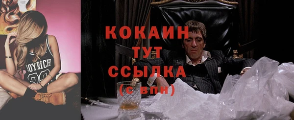 МДПВ Лиски