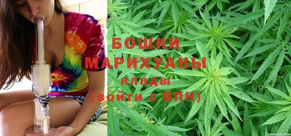 МДПВ Лиски