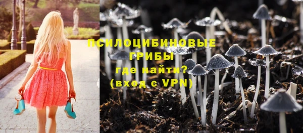 МДПВ Лиски