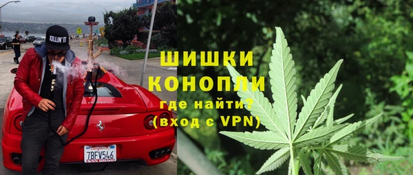 МДПВ Лиски
