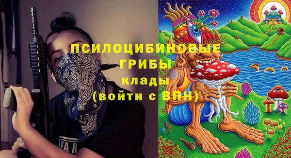 МДПВ Лиски
