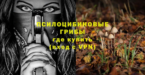 МДПВ Лиски