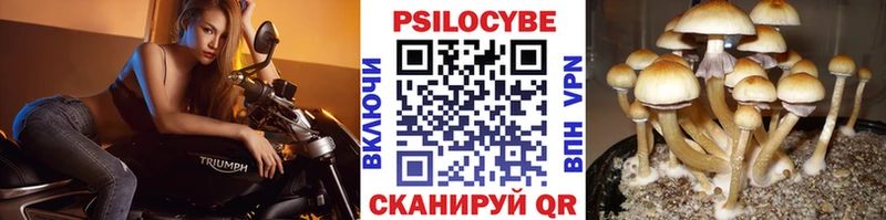 Псилоцибиновые грибы ЛСД  где купить наркотик  Серпухов 